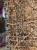 IMG_3295.jpeg