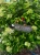 image-2042468853822484.webp