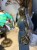 IMG_3499.jpeg
