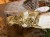 IMG_3504.jpeg
