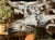 IMG_3524.jpeg