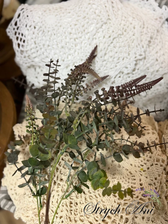 IMG_3539.jpeg