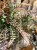 IMG_3540.jpeg