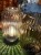 IMG_3613.jpeg
