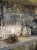 IMG_3616.jpeg