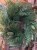 IMG_3701.jpeg