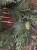 IMG_3702.jpeg