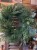 IMG_3704.jpeg