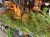IMG_3765.jpeg