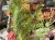 IMG_3766.jpeg