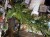 IMG_3767.jpeg