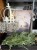 IMG_3771.jpeg