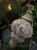 IMG_3777.jpeg