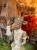 IMG_3788.jpeg
