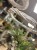 IMG_3807.jpeg