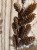 IMG_3832.jpeg