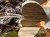 IMG_3834.jpeg