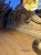 IMG_3878.jpeg