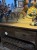 IMG_3877.jpeg
