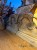 IMG_3875.jpeg