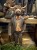 IMG_3986.jpeg