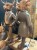 IMG_3984.jpeg