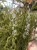 IMG_3991.jpeg