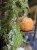 IMG_3993.jpeg