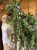 IMG_3994.jpeg