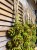 IMG_3996.jpeg