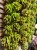 IMG_3997.jpeg