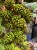 IMG_3999.jpeg