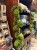 IMG_4001.jpeg