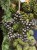 IMG_4002.jpeg