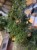 IMG_4024.jpeg