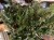 IMG_4025.jpeg