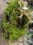 IMG_7821.jpeg