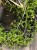 IMG_7822.jpeg