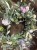 IMG_7831.jpeg