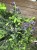 IMG_7835.jpeg