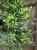 IMG_7834.jpeg