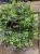IMG_7833.jpeg