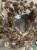 IMG_7837.jpeg