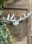 IMG_7839.jpeg