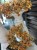 IMG_7847.jpeg
