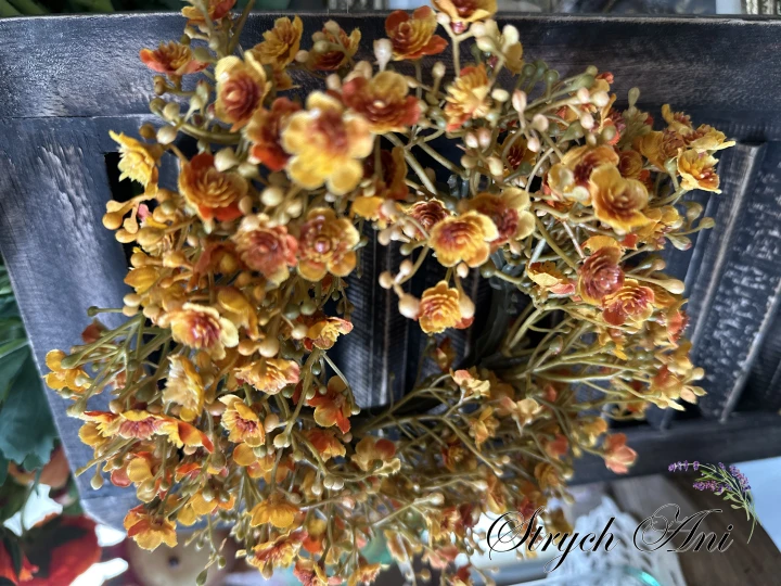 IMG_7850.jpeg