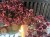 IMG_7854.jpeg