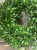 IMG_7843.jpeg