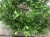 IMG_7844.jpeg