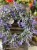 IMG_7857.jpeg